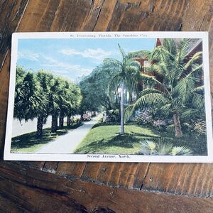 1920s Vintage Postcard Scenic View Palms Second Avenue St Petersburg Florida FL